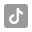 tiktok-icon